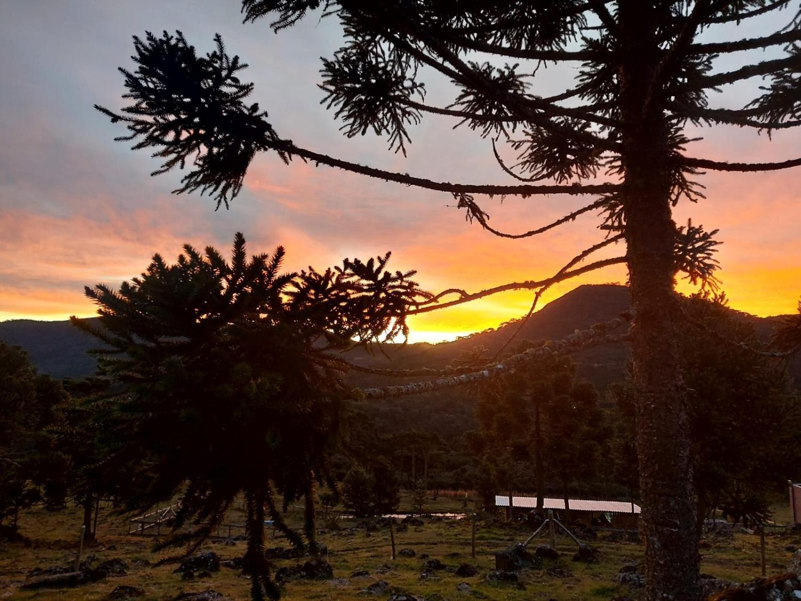 Monte Siao Chateau Urubici Dış mekan fotoğraf