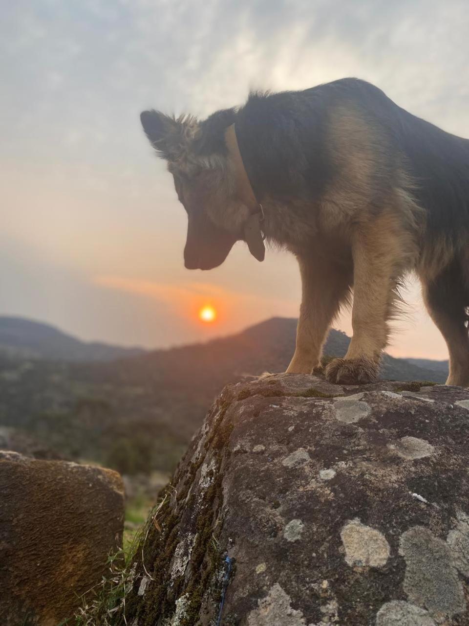 Monte Siao Chateau Urubici Dış mekan fotoğraf